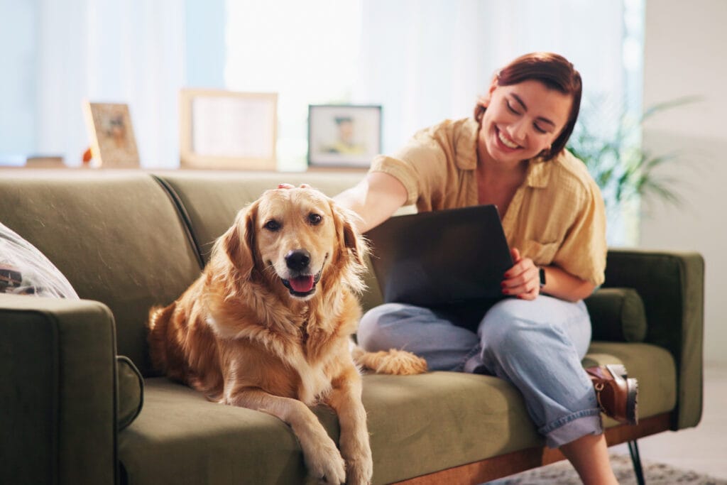 ray white hamilton property managers services hamilton cambridge teawamutu 165